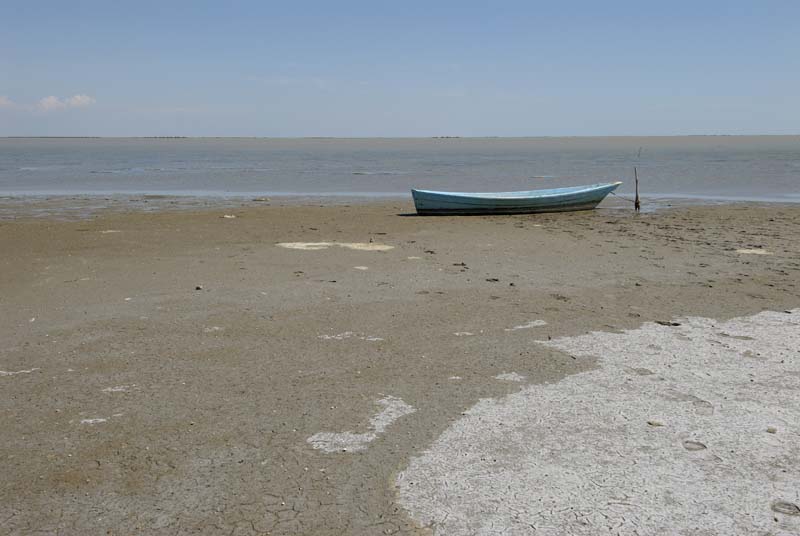 060809_Camargue_03