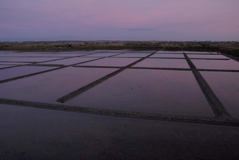071227_LT_Les_marais_au_coucher_187