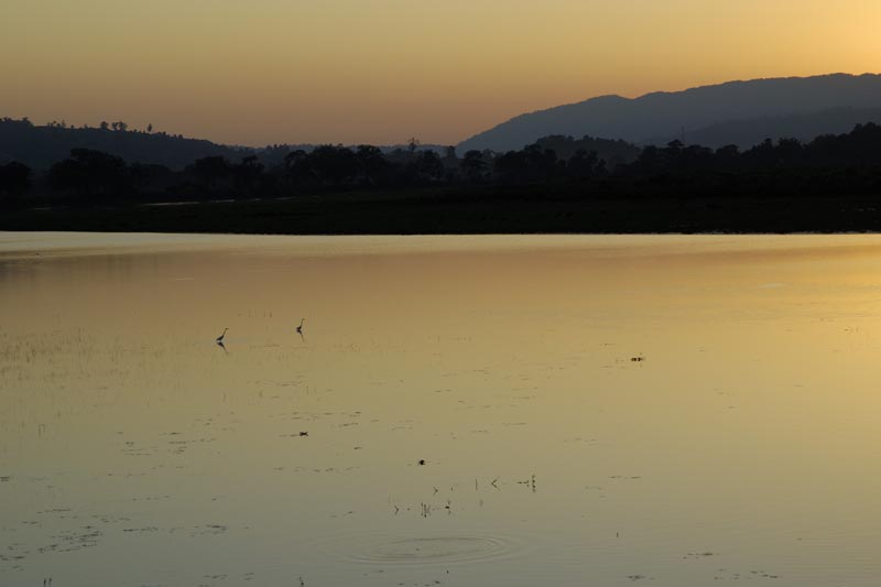0593_Kaziranga_Landscape_