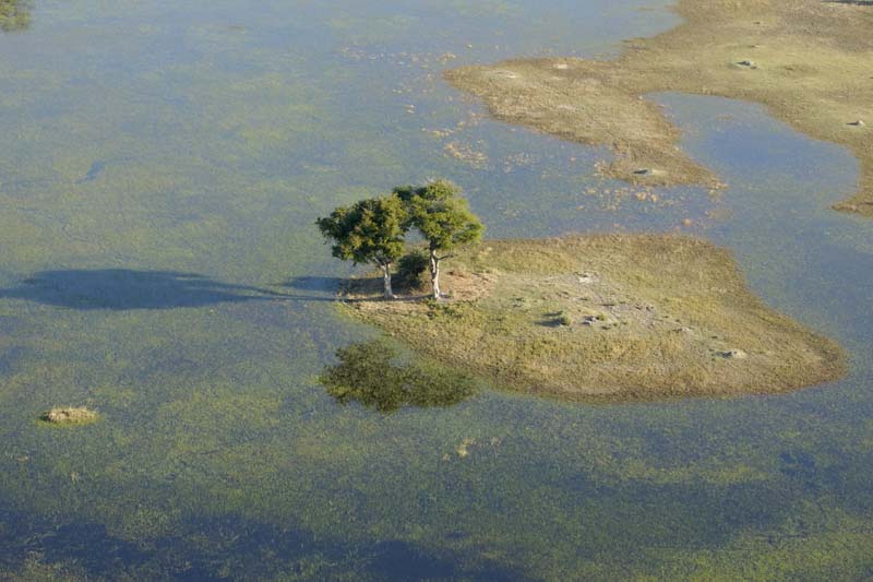 0150_Botswana_Maun_Okavongo