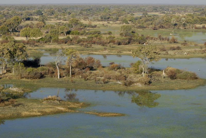 0154_Botswana_Maun_Okavongo