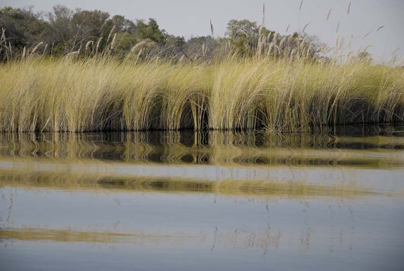 0574_Botswana_Xakanaxa_Okavongo