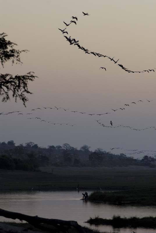 3532_Botswana_Savuti_Mokoros