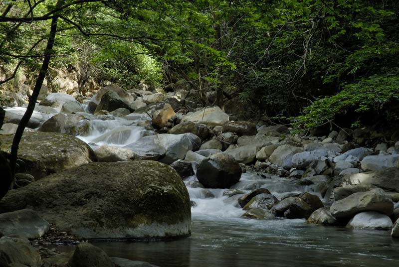 1479_CostaRica_Rincon_de_la_Viejas_