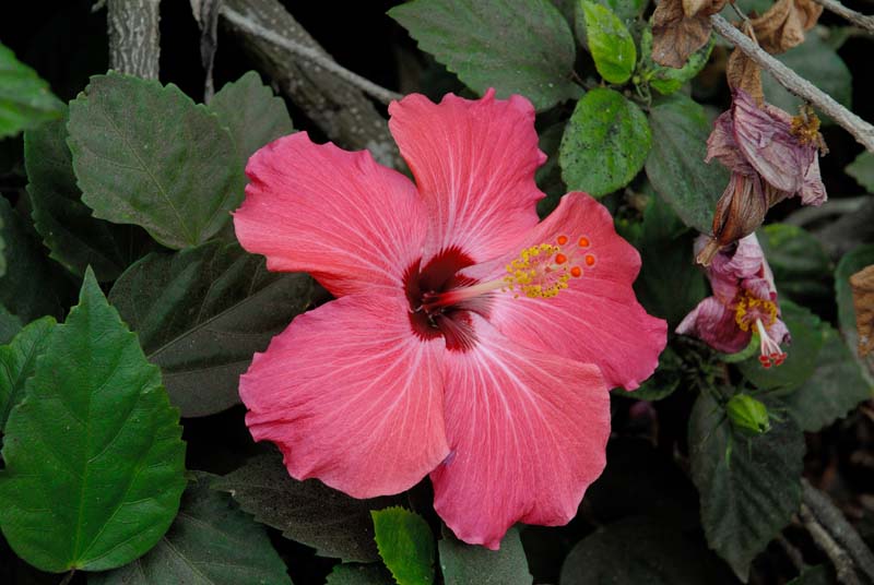 17_4080_GALAPAGOS_SANTA_CRUZ
