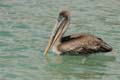 15_3494_GALAPAGOS_SANTA_FE