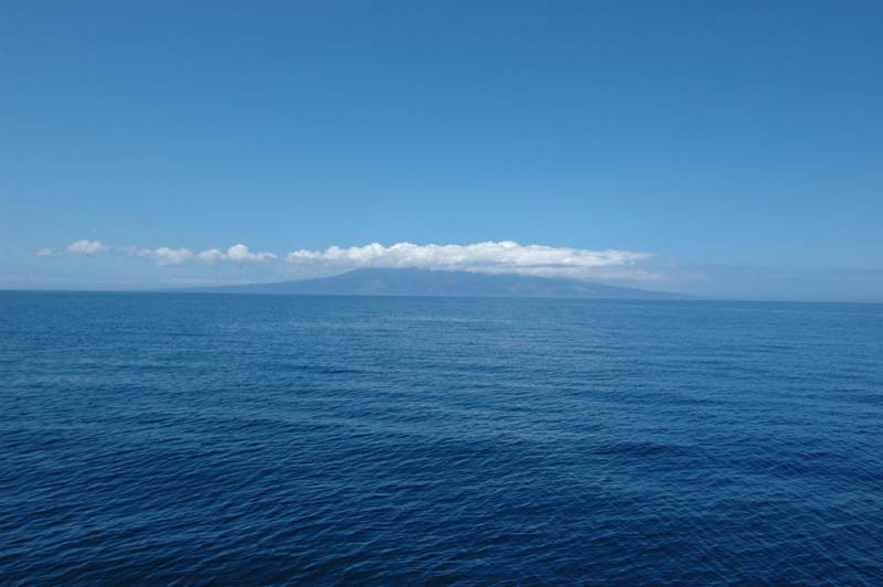1597_GALAPAGOS_ISABELA_FERNANDINA