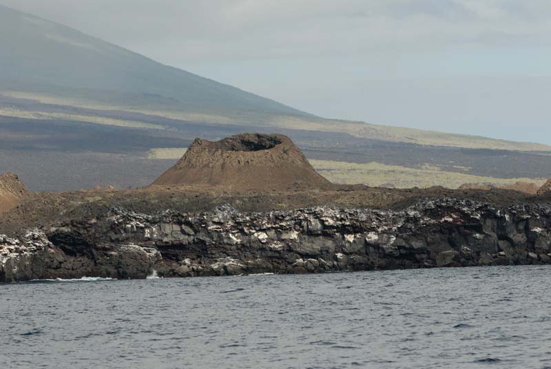 2364_GALAPAGOS_ISABELA