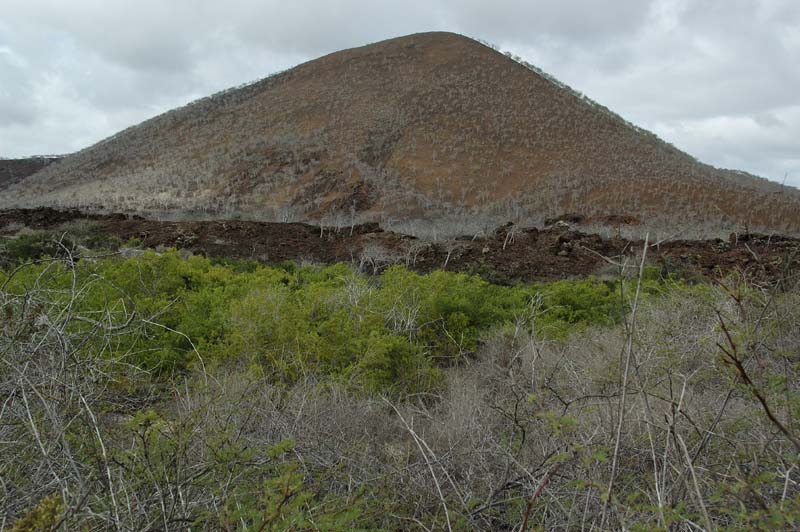 2405_GALAPAGOS_FLOREANA