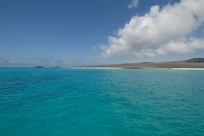 3036_GALAPAGOS_ESPAGNOLA