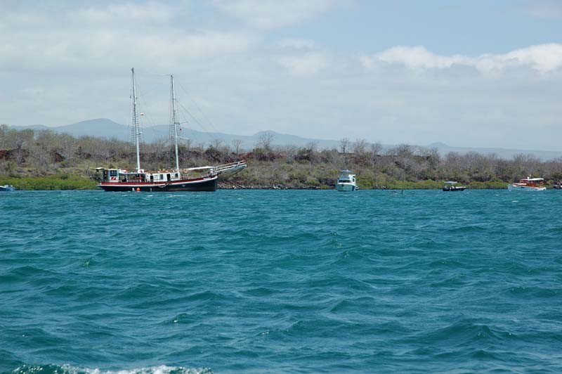 69_0005_GALAPAGOS_SEYMOUR