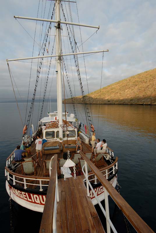 73_1850_GALAPAGOS_ISABELA