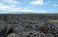 2289_GALAPAGOS_ISABELA