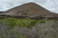 2405_GALAPAGOS_FLOREANA